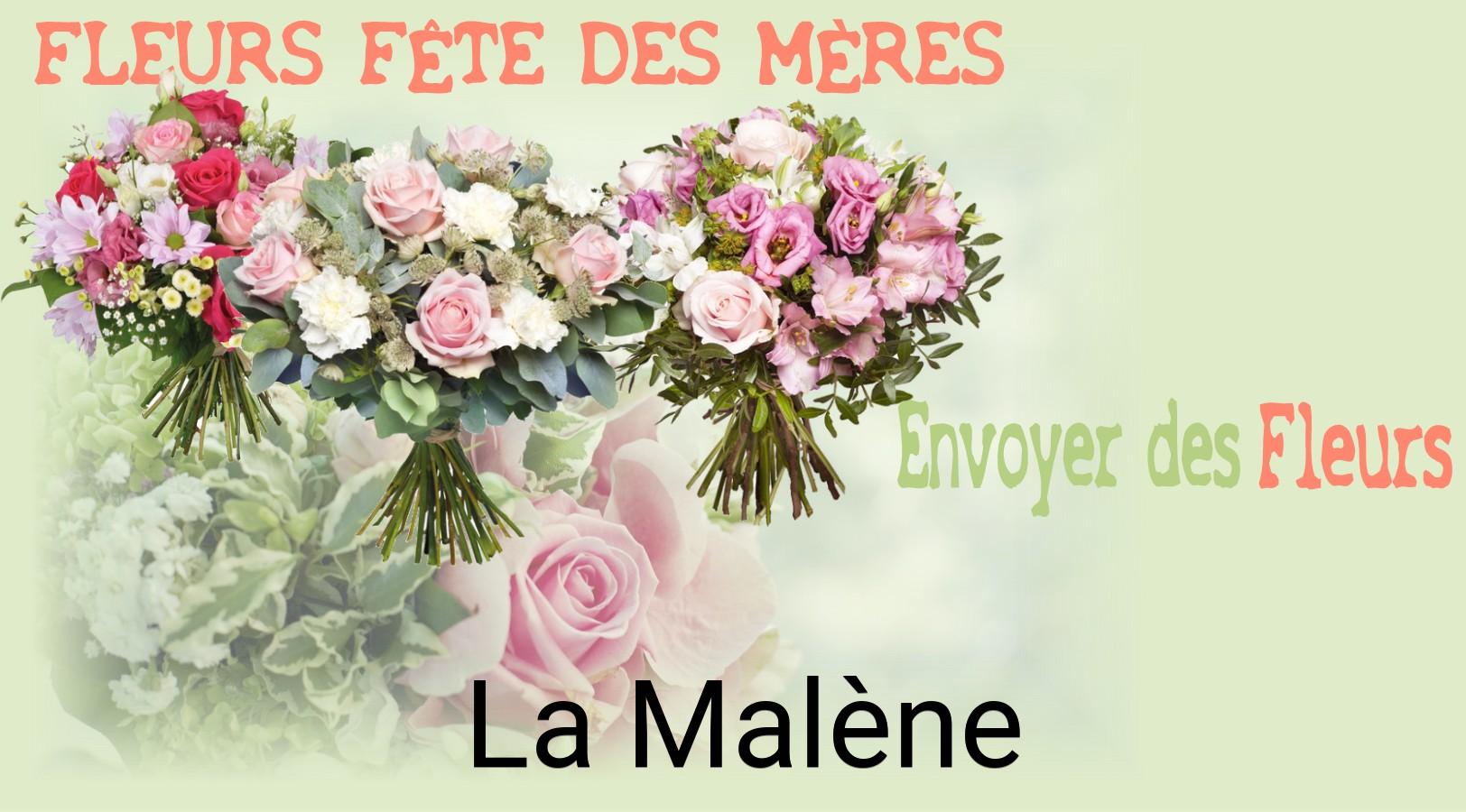 Bouquet de Fête des Mères livré à La Malène